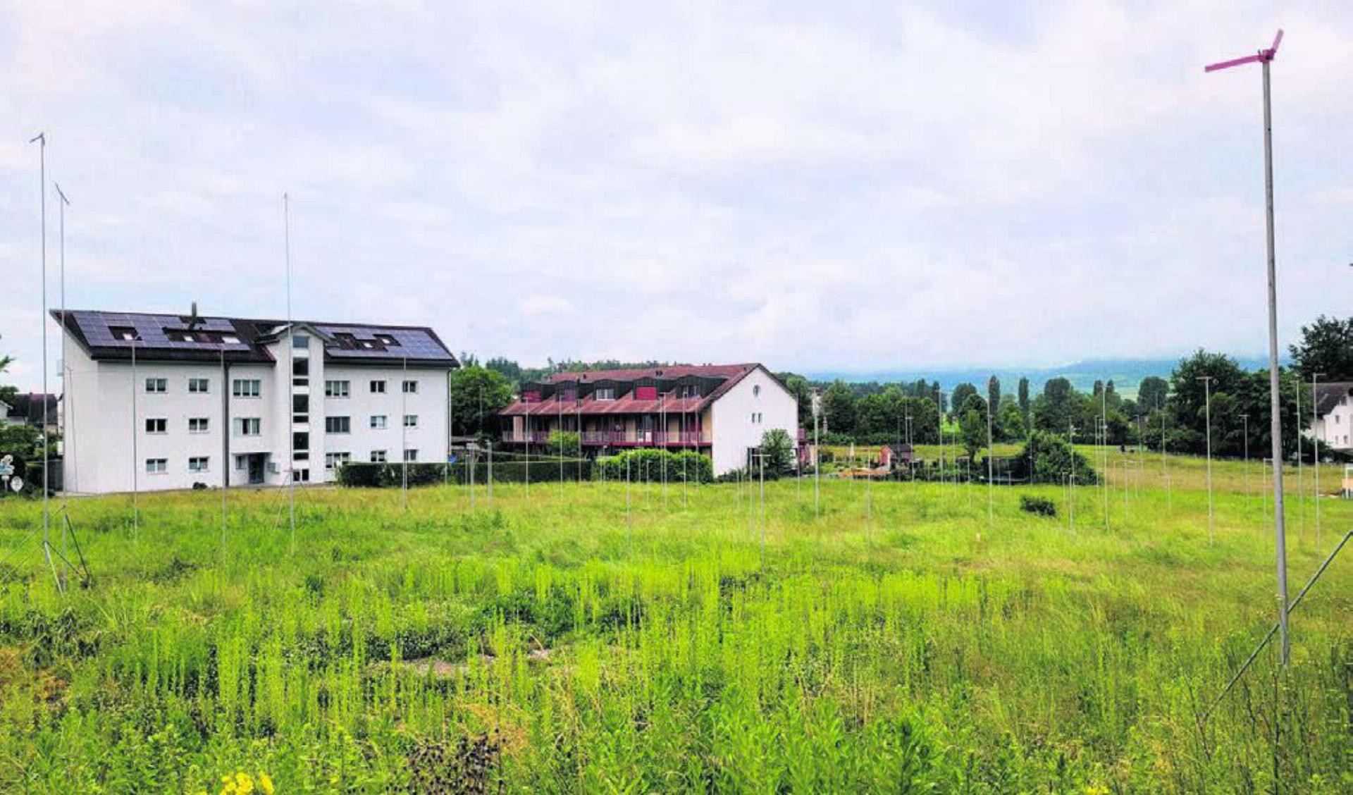 Auf dieser Wiese mitten im Dorf sollen 25 neue Wohneinheiten entstehen. Bilder: Chregi Hansen / zg