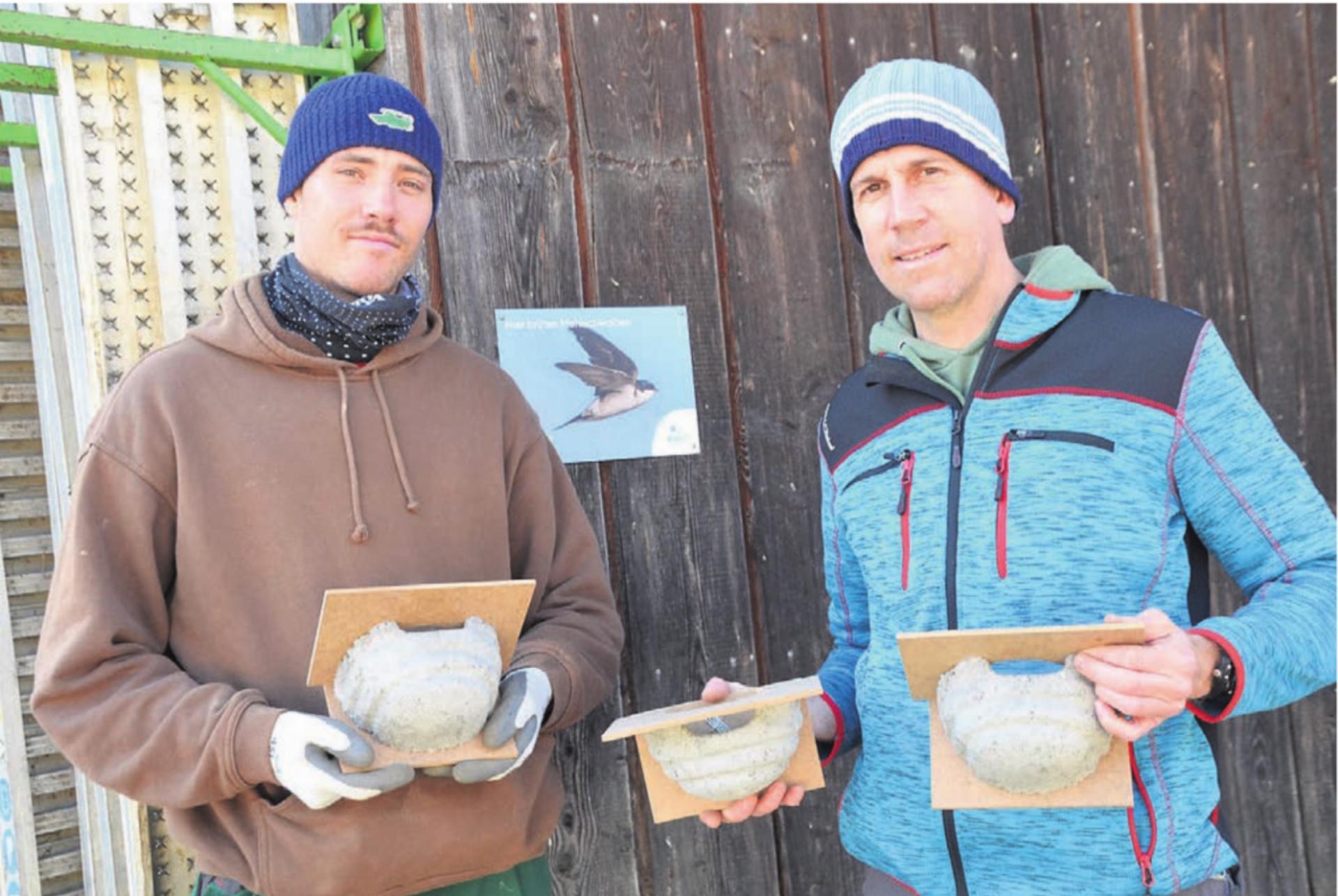 Roland Temperli (rechts) und Praktikant Lukas Rupp mit Kunstnestern, wie sie in Rottenschwil montiert sind. Bilder: Thomas Stöckli / pixabay - Das Bild wird blockiert. – Möglicherweise durch einen aktiven Adblocker.