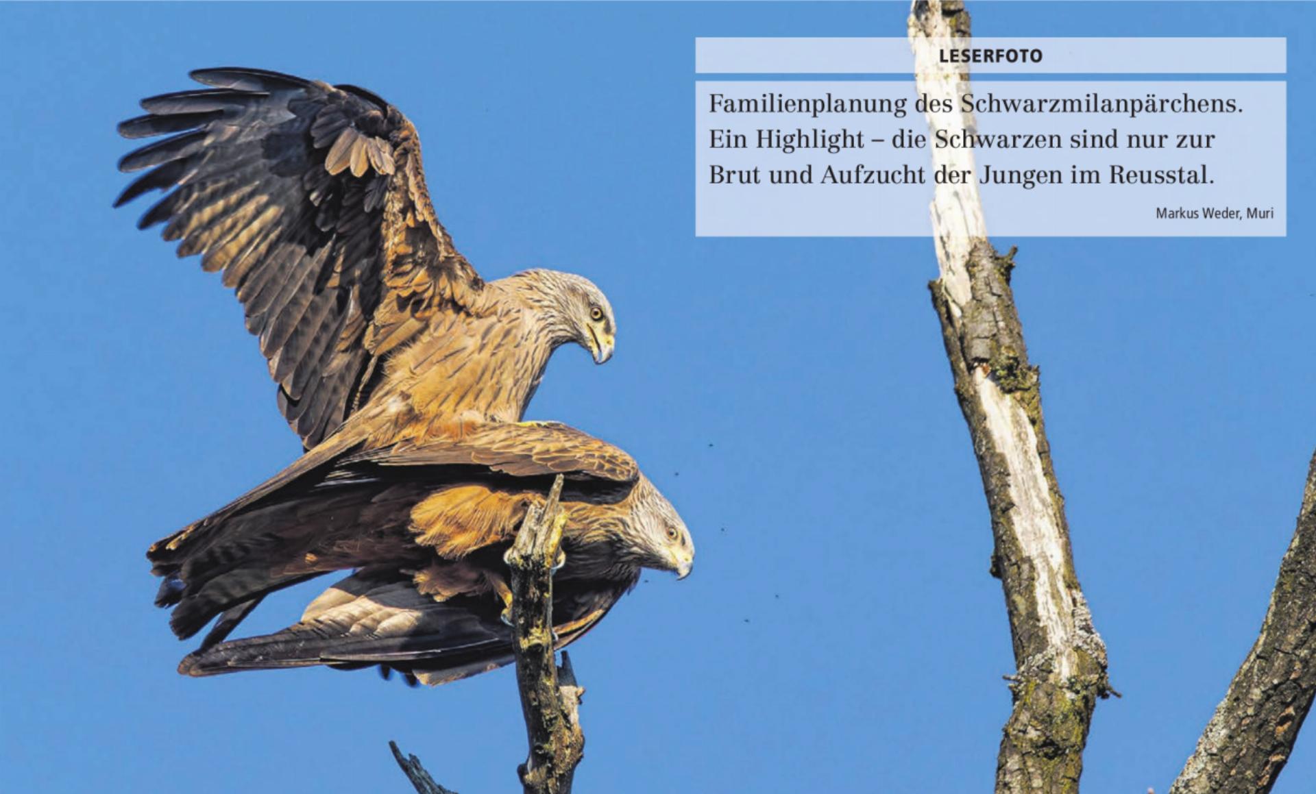  - Das Bild wird blockiert. – Möglicherweise durch einen aktiven Adblocker.