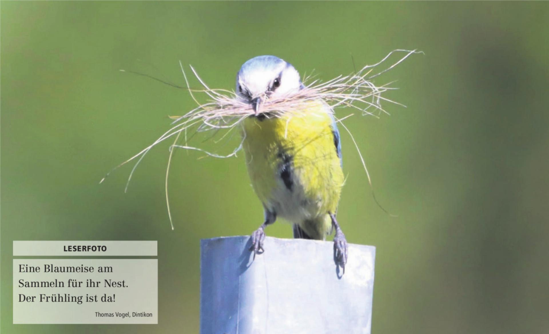  - Das Bild wird blockiert. – Möglicherweise durch einen aktiven Adblocker.