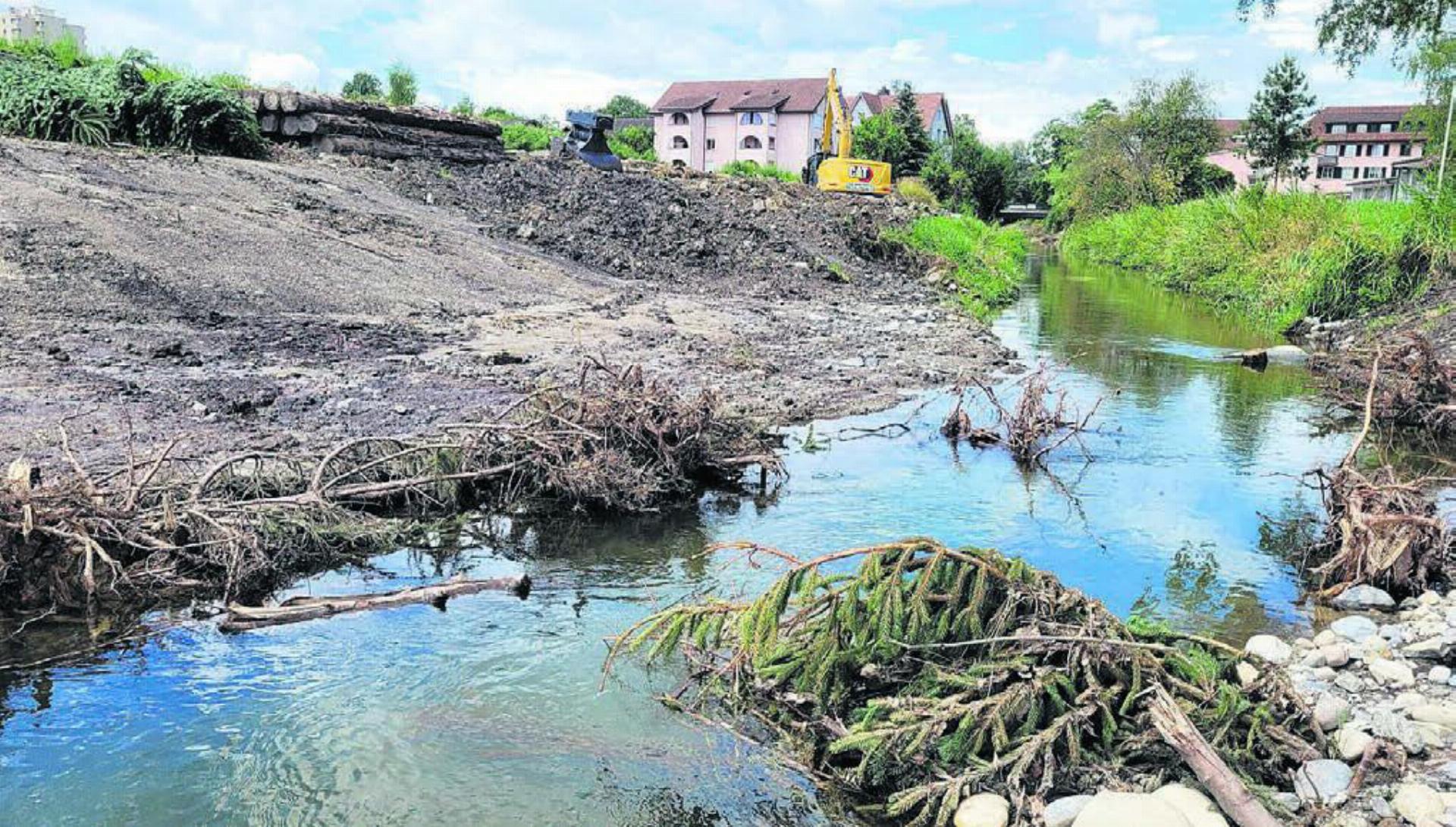 Verschiedene Strukturen im und am Wasser sorgen für optimale Lebensräume für ganz viele Tierarten. Bilder: Chregi Hansen - Das Bild wird blockiert. – Möglicherweise durch einen aktiven Adblocker.