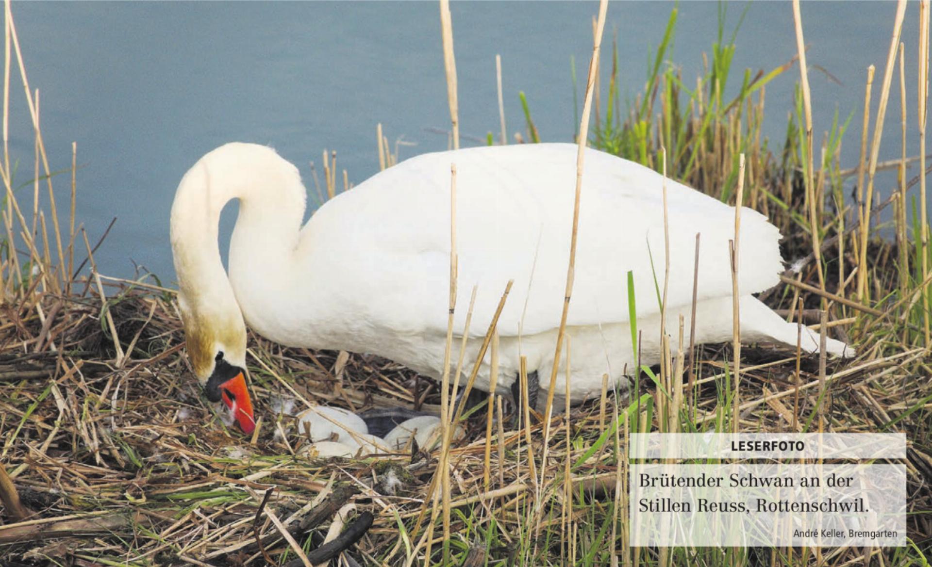  - Das Bild wird blockiert. – Möglicherweise durch einen aktiven Adblocker.