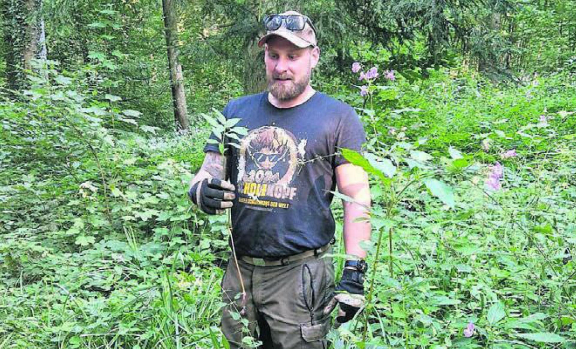Den Neophyten im Wald soll es an den Kragen gehen, dafür ist wie beim ersten Mal wieder Unterstützung gefragt. Bild: zg - Das Bild wird blockiert. – Möglicherweise durch einen aktiven Adblocker.