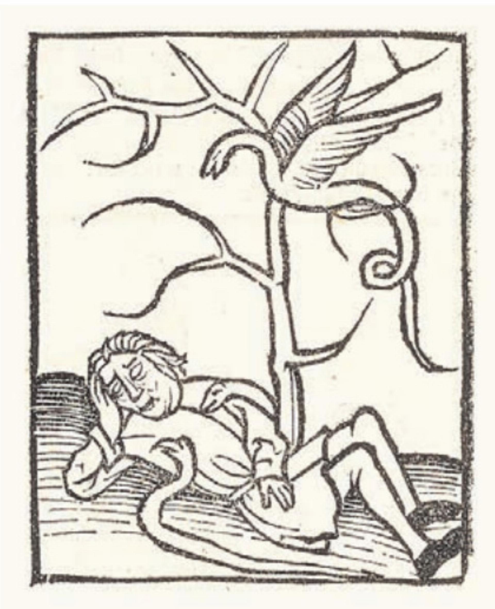 Mehrere Jahrhundert alte Kräuterbücher geben spannende Einblicke. Bild: zg - Das Bild wird blockiert. – Möglicherweise durch einen aktiven Adblocker.