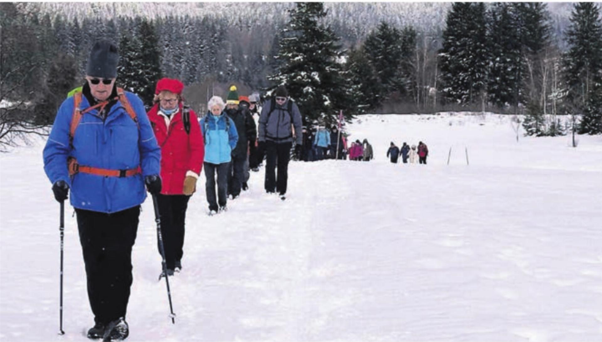 Die erste Wanderung des Jahres führte durch das Hochmoor von Rothenthurm, welches sich zu diesem Zeitpunkt noch schneebedeckt präsentierte. Bild: zg - Das Bild wird blockiert. – Möglicherweise durch einen aktiven Adblocker.