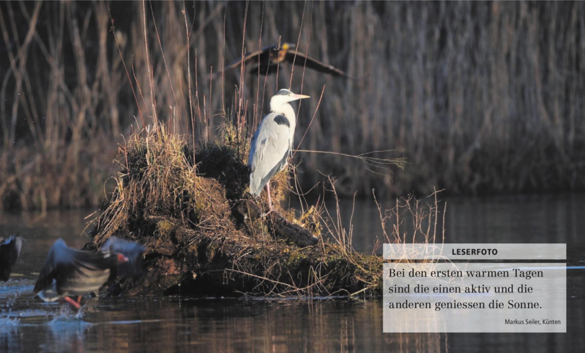  - Das Bild wird blockiert. – Möglicherweise durch einen aktiven Adblocker.