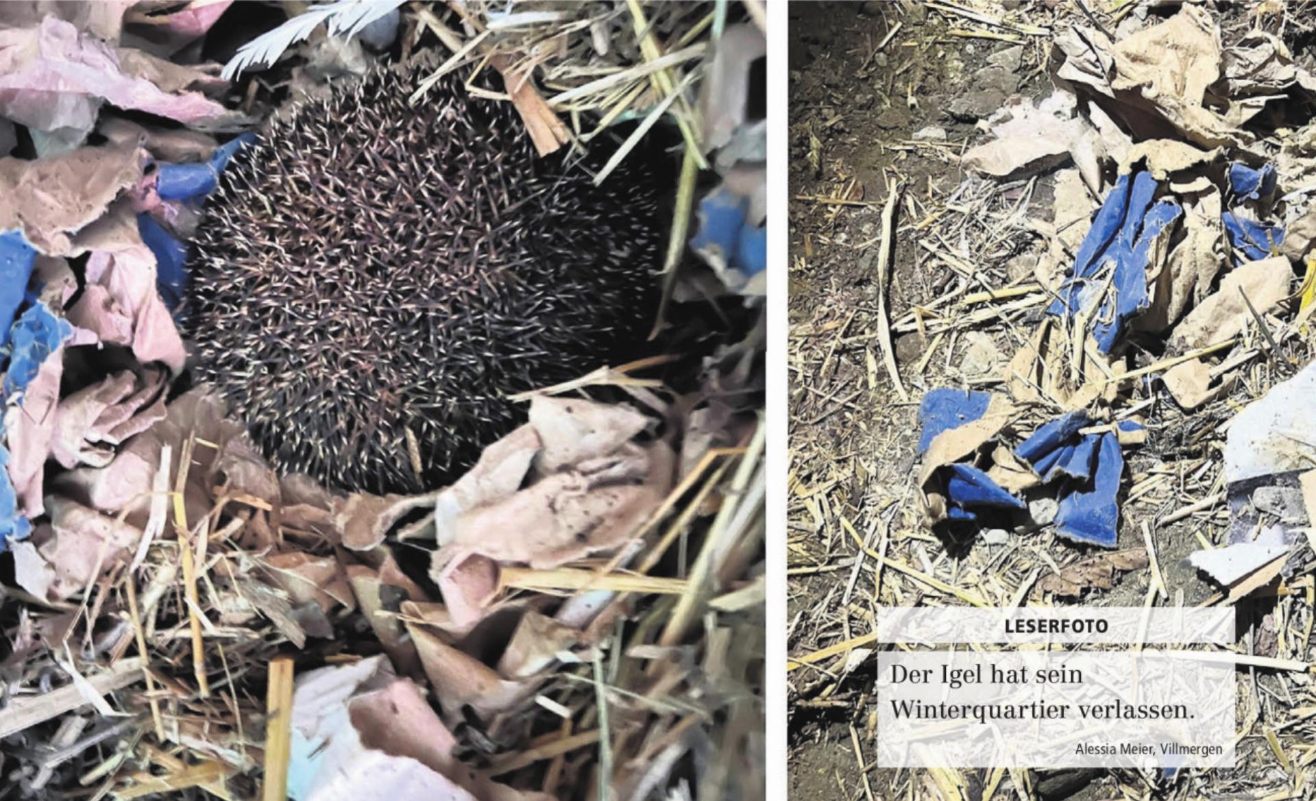  - Das Bild wird blockiert. – Möglicherweise durch einen aktiven Adblocker.