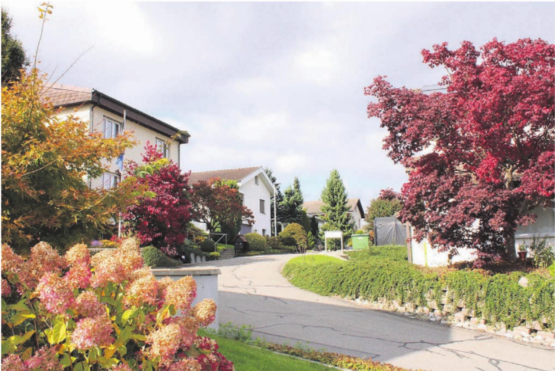 Im Quartier Schönfeld sind Wasserleitungsarbeiten geplant. Bild: gk - Das Bild wird blockiert. – Möglicherweise durch einen aktiven Adblocker.