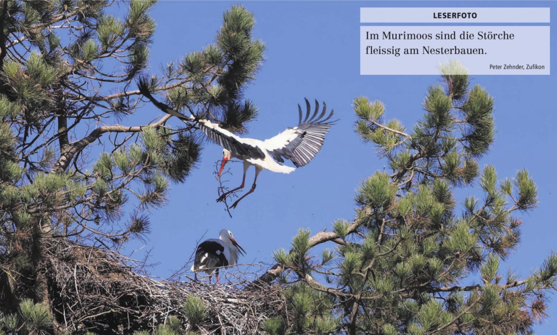  - Das Bild wird blockiert. – Möglicherweise durch einen aktiven Adblocker.