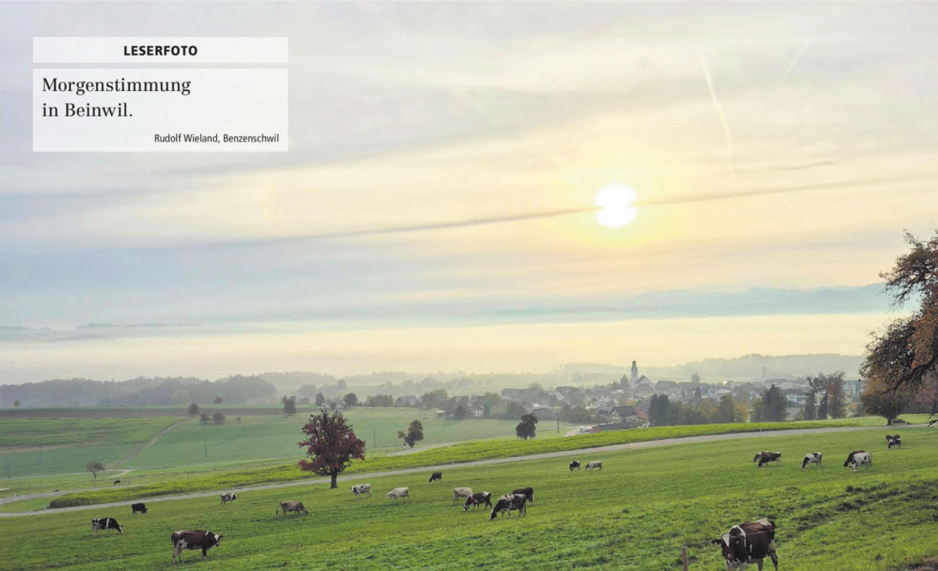  - Das Bild wird blockiert. – Möglicherweise durch einen aktiven Adblocker.
