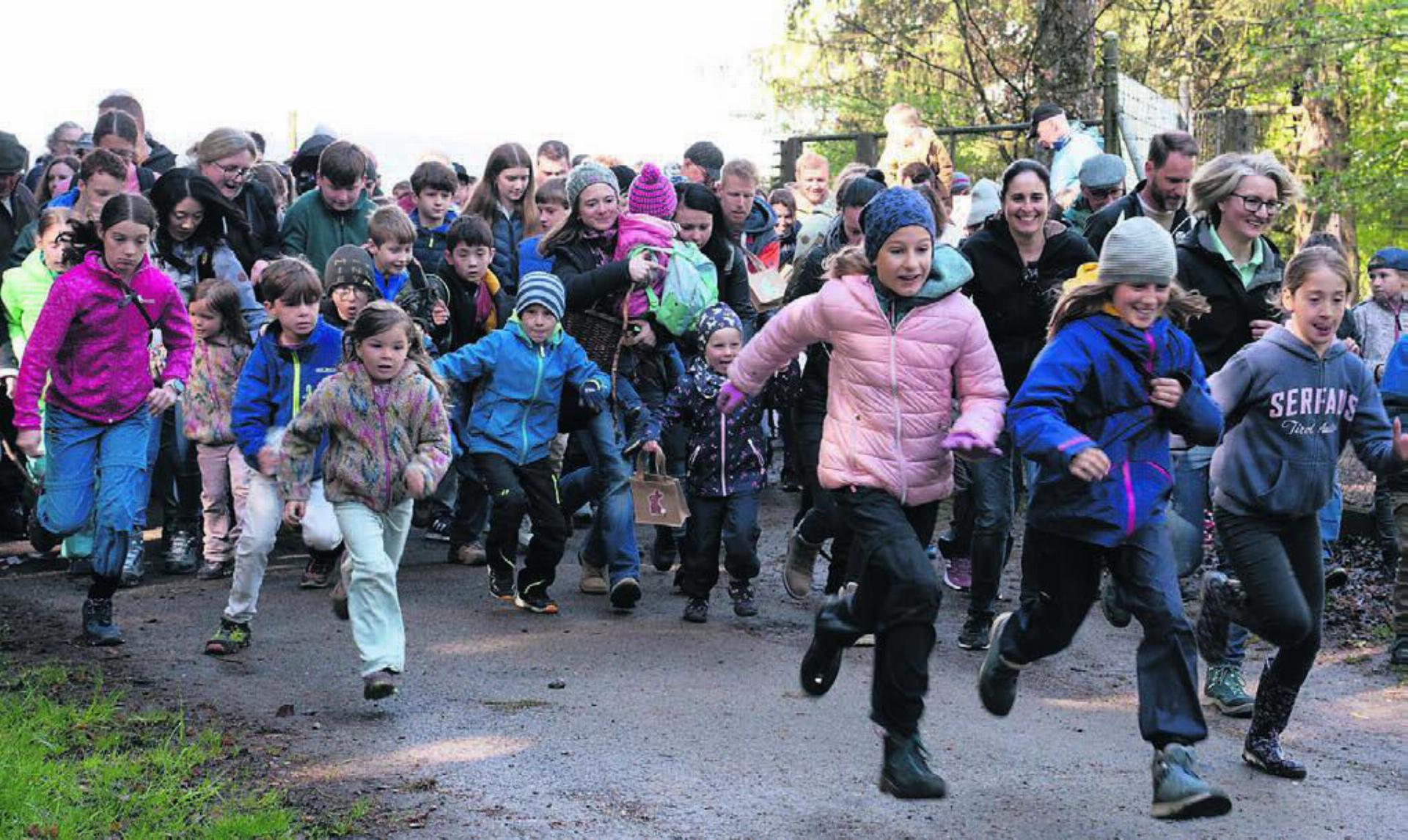 Das grosse Suchen geht los. Natürlich wollen alle die Schnellsten sein. Bilder: sh