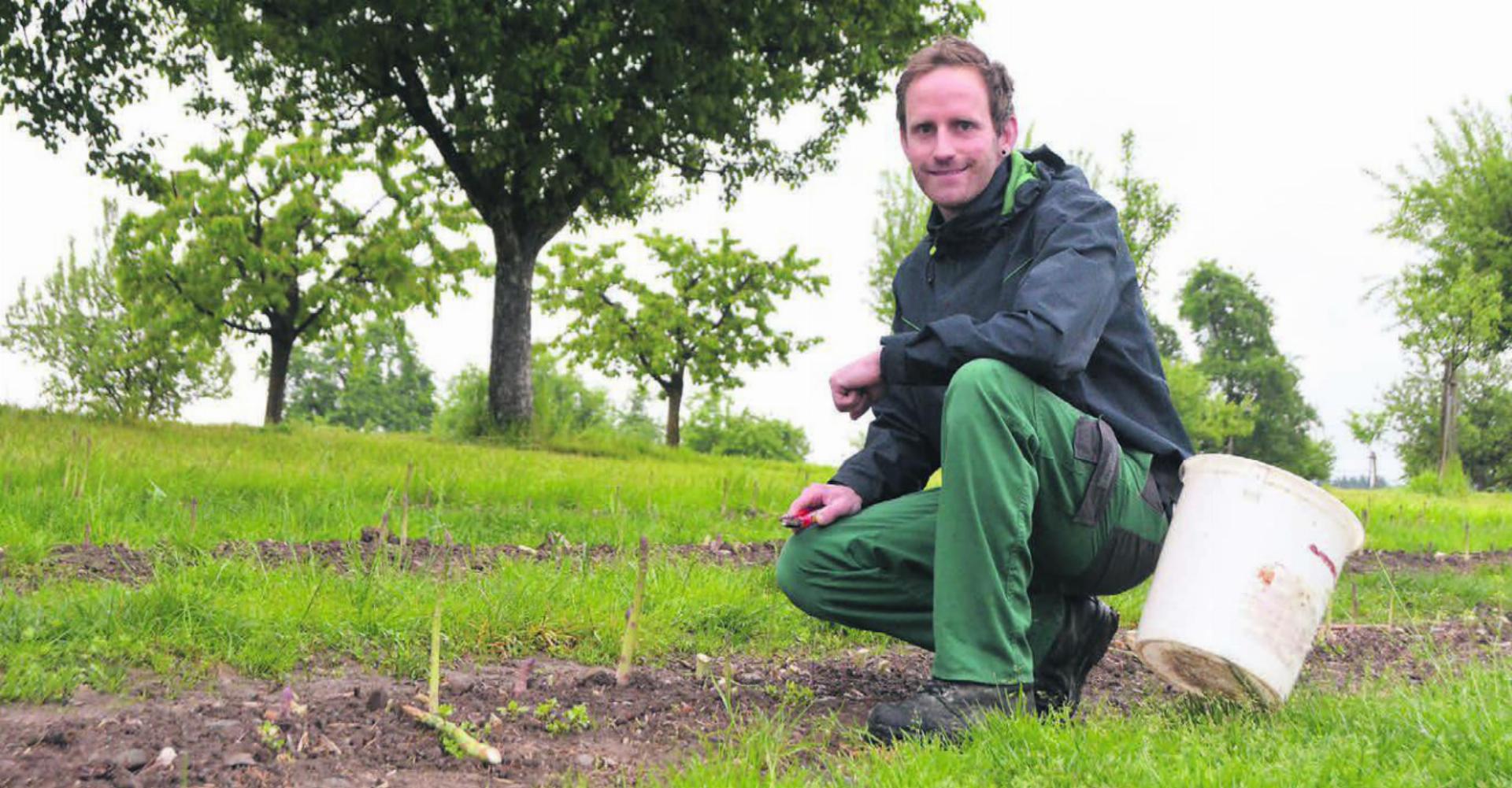 Täglich bei Sonnenaufgang geht es los. Lukas Bächler hat den «Spargelhof» mit dem Jahreswechsel von seinen Eltern übernommen. Bild: Annemarie Keusch