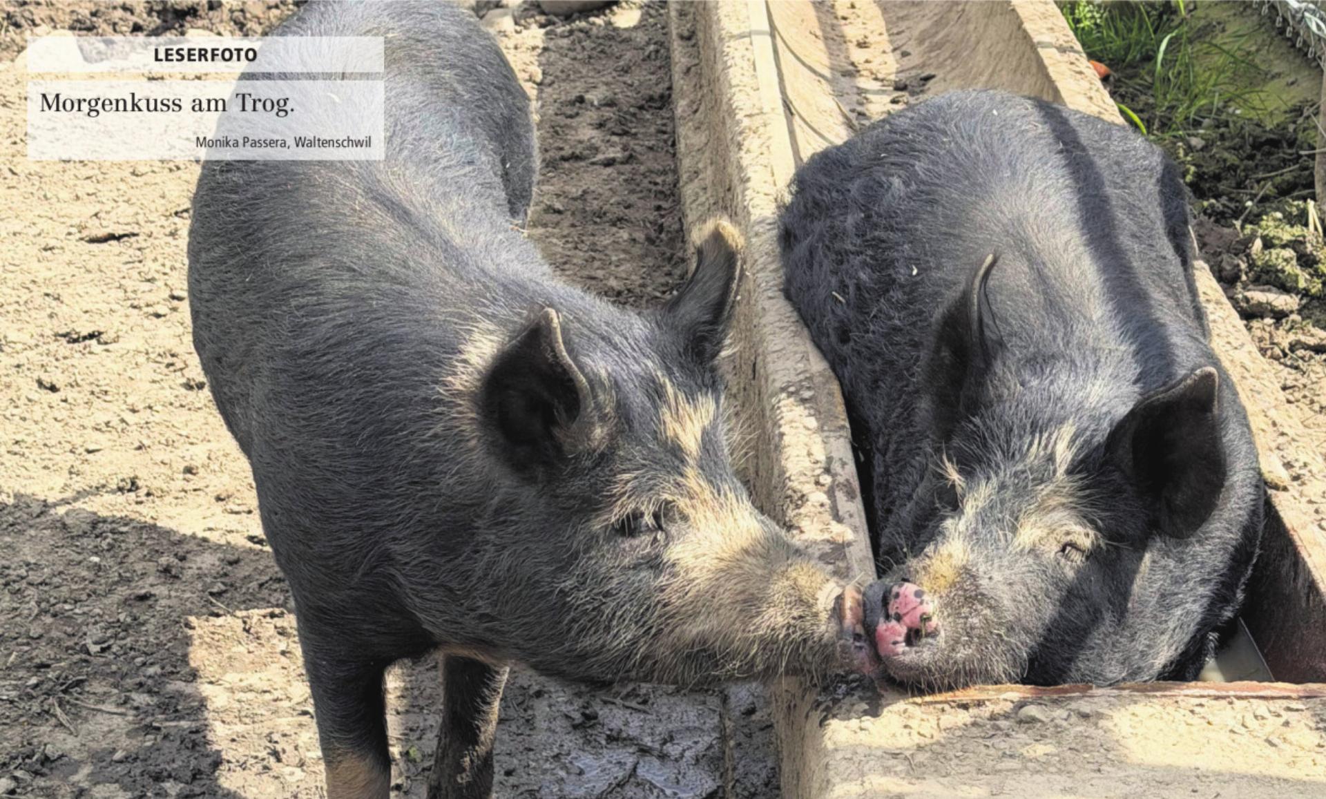  - Das Bild wird blockiert. – Möglicherweise durch einen aktiven Adblocker.