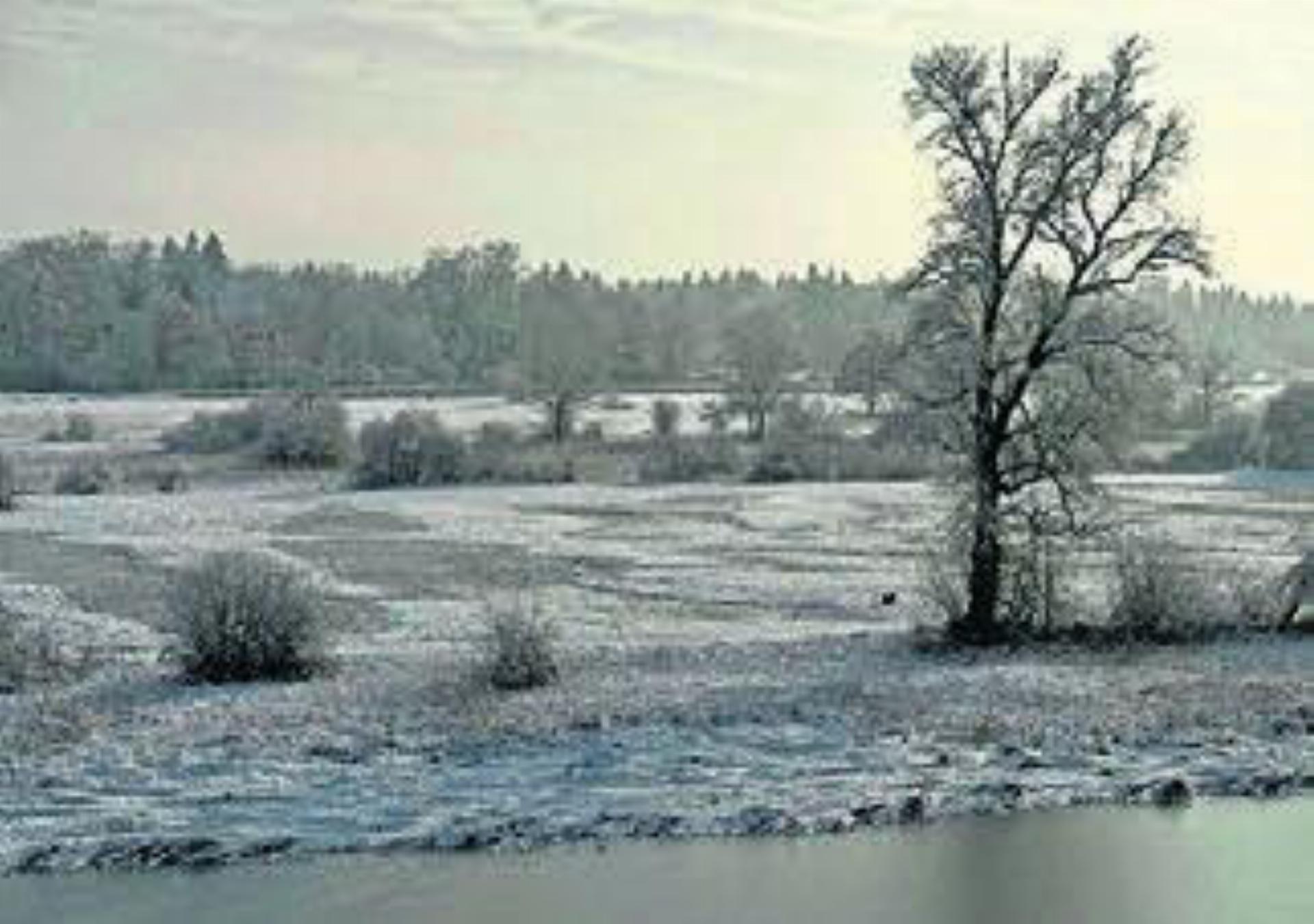 Stille Reuss in Rottenschwil. Bild: zg - Das Bild wird blockiert. – Möglicherweise durch einen aktiven Adblocker.
