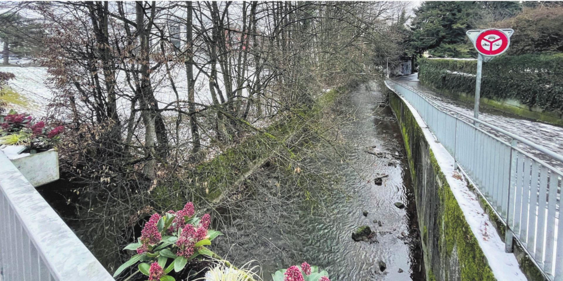 Der Verein «Schöner Wohlen» will sich gegen eine verheerende Entwicklung wehren: Per Petition will der Verein die Bünz schützen, und speziell beim Isler-Areal soll ein 25 Meter breiter Streifen den Gewässerraum darstellen. Bild: jl - Das Bild wird blockiert. – Möglicherweise durch einen aktiven Adblocker.