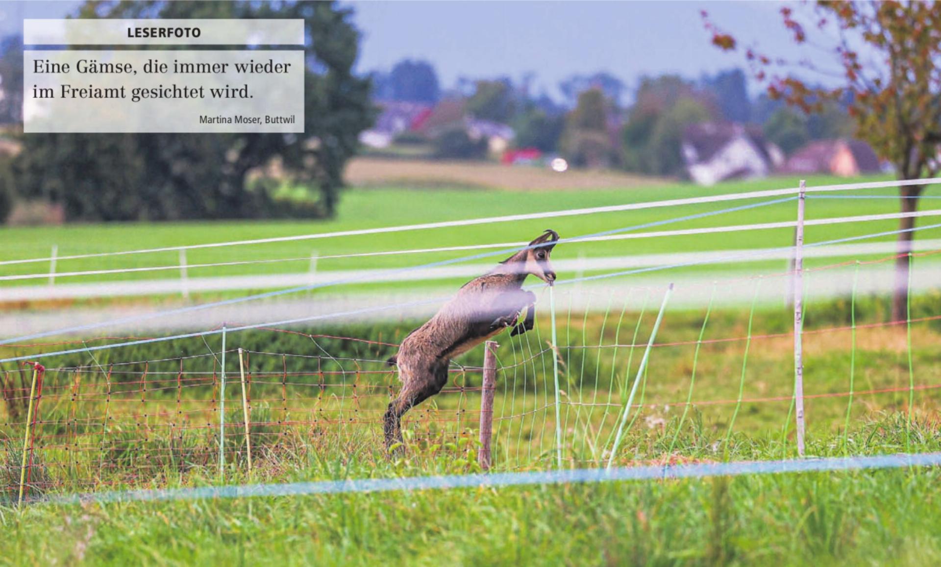  - Das Bild wird blockiert. – Möglicherweise durch einen aktiven Adblocker.