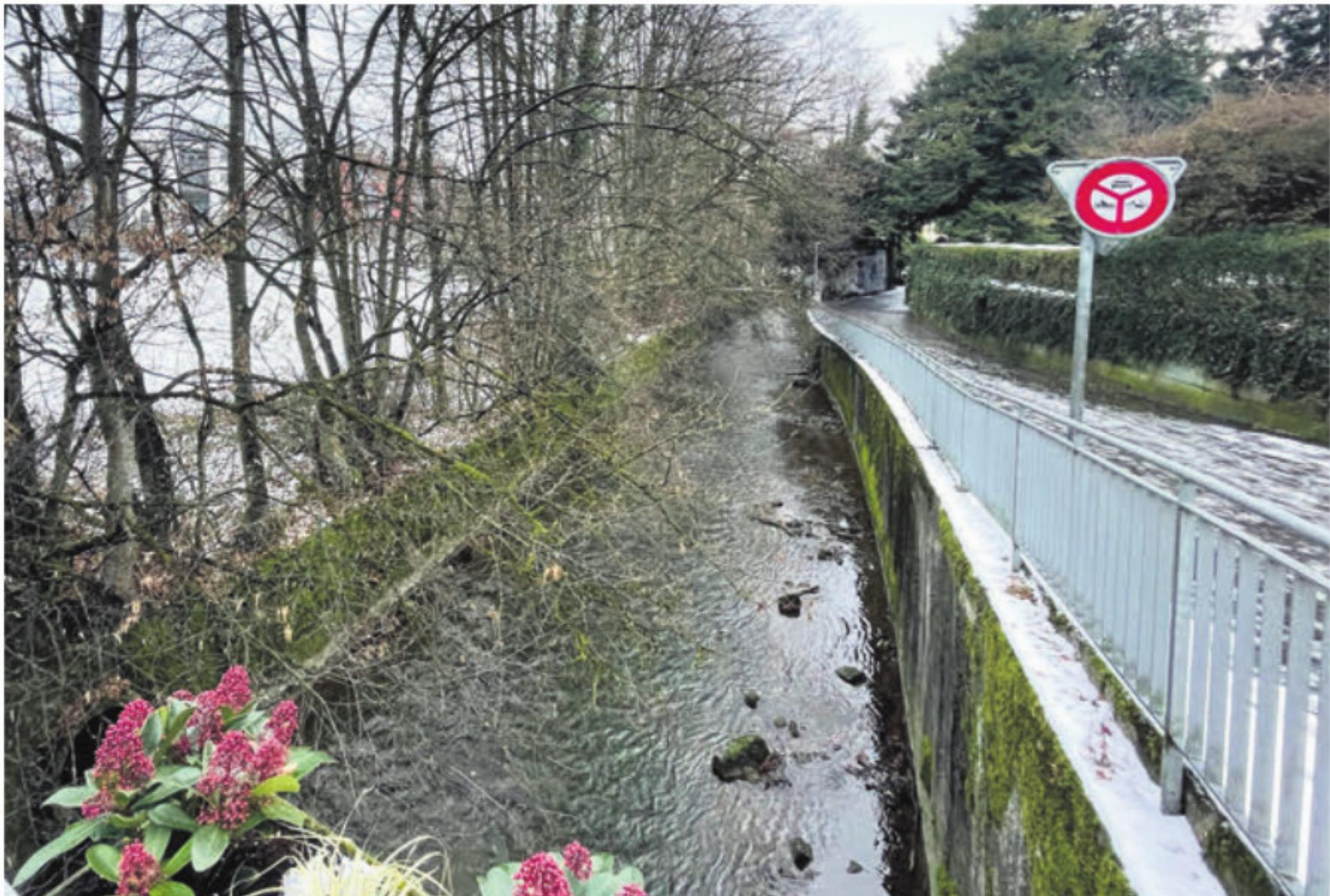 Die Grünen und die SP unterstützen die Petition von «Schöner Wohlen». Sie möchten, dass generell eine ökologische Revitalisierung der Bünz umgesetzt wird. Bild: Archiv - Das Bild wird blockiert. – Möglicherweise durch einen aktiven Adblocker.