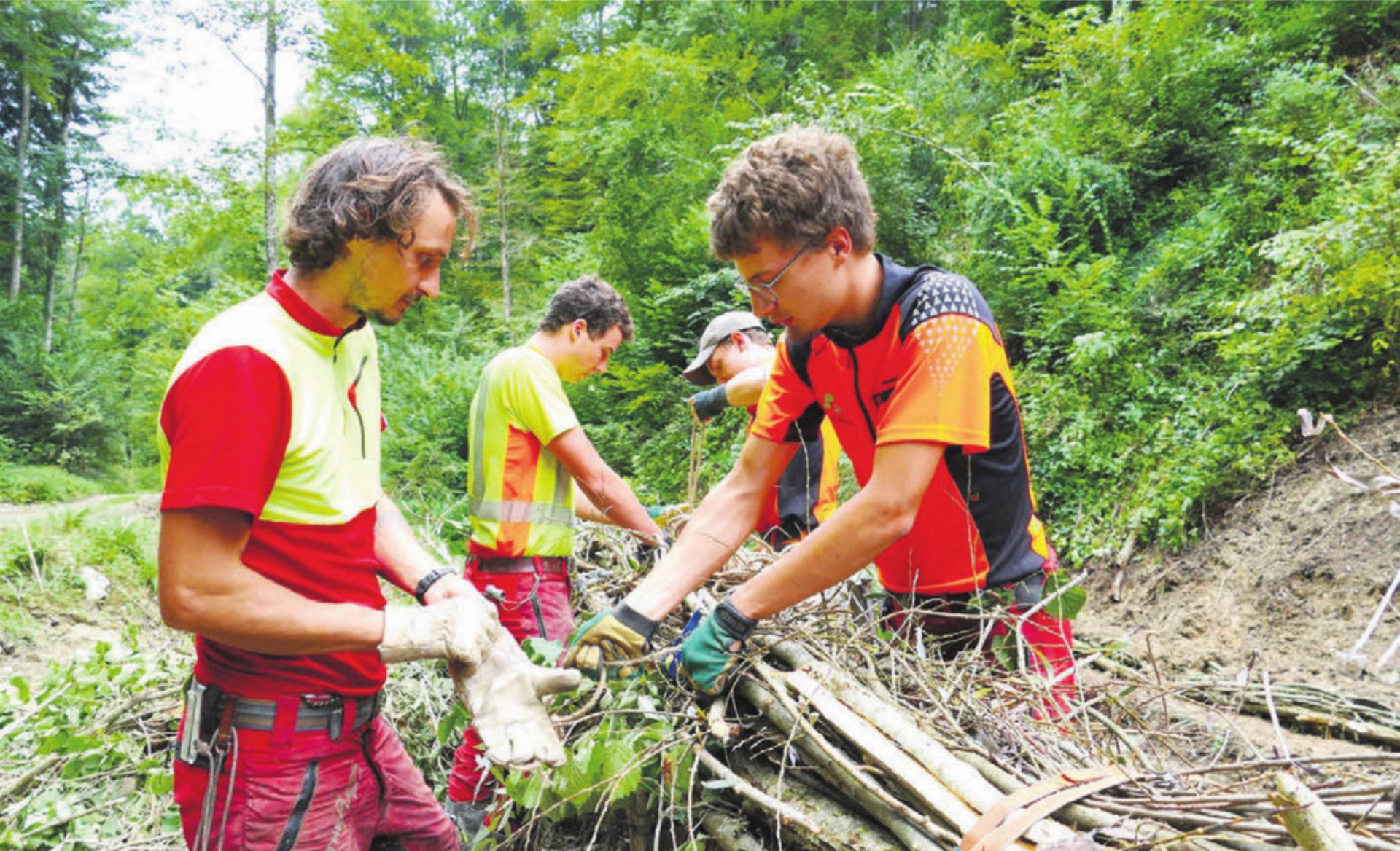 Dominik Gysel (rechts) beim Bündeln der Faschinen. Das Endziel seiner Ausbildung heisst Forstingenieur. Bild: Richard Gähwiler