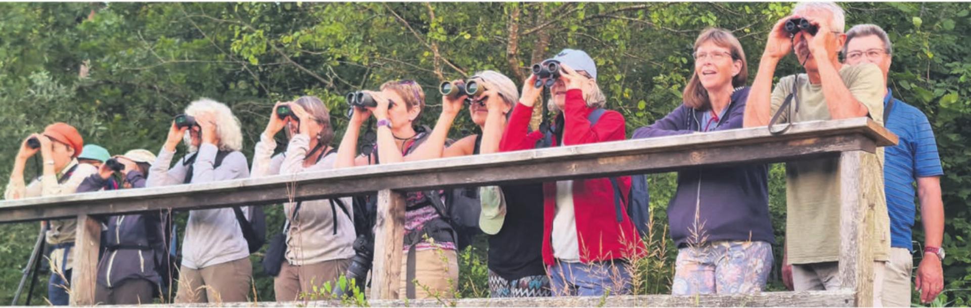 Die Mitglieder des Natur- und Vogelschutzvereins Wohlen entdeckten viele seltene Tiere am Flachsee. Bilder: zg - Das Bild wird blockiert. – Möglicherweise durch einen aktiven Adblocker.