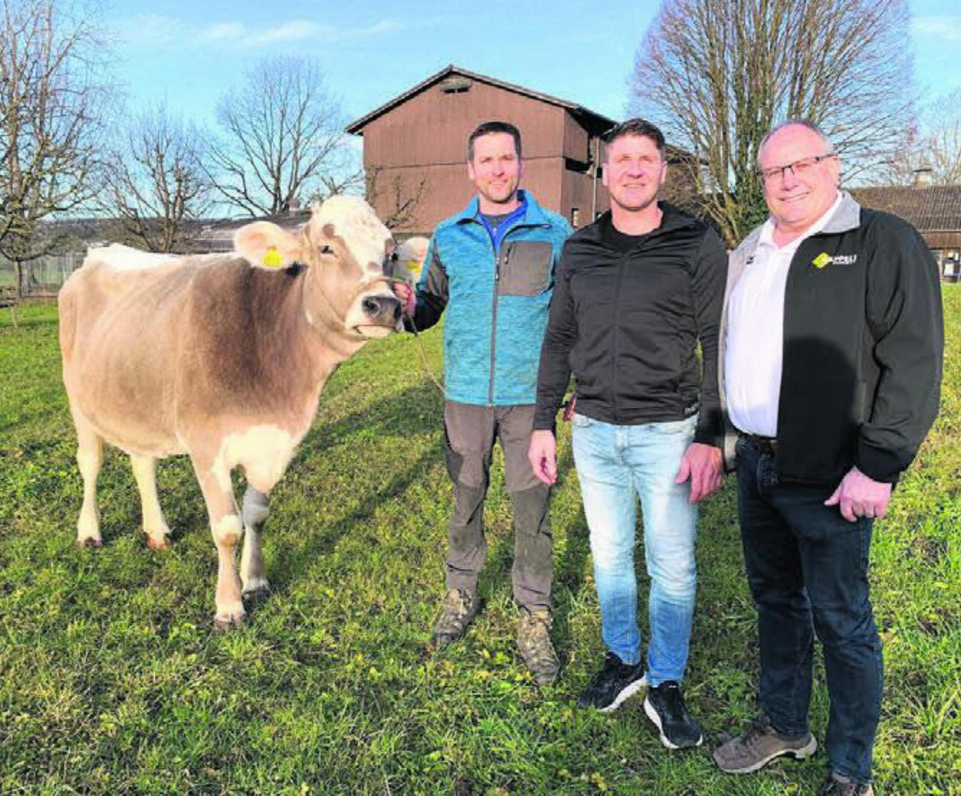 Siegerrind «Britta», präsentiert durch (von links): Züchter Adi Odermatt, Spender Sandro Vollenweider und Gabenchef Alois Odermatt. Bild: zg