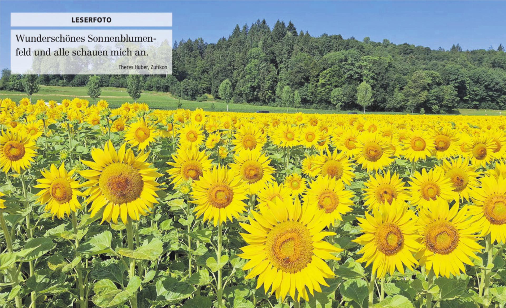  - Das Bild wird blockiert. – Möglicherweise durch einen aktiven Adblocker.