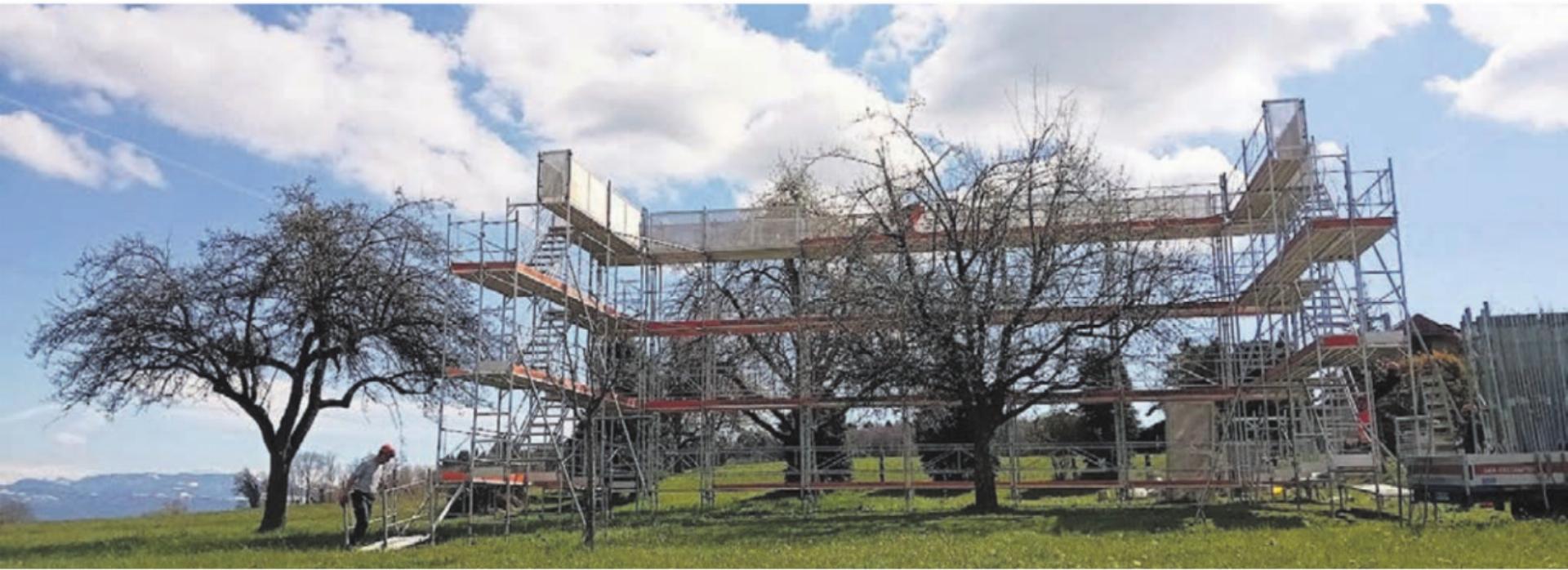 Der Baumkronenpfad ist bereits aufgebaut. Am Samstag und Sonntag, jeweils von 10 bis 18 Uhr, ist «Muri blüht» bereit für Besucherinnen und Besucher. Bild: zg - Das Bild wird blockiert. – Möglicherweise durch einen aktiven Adblocker.