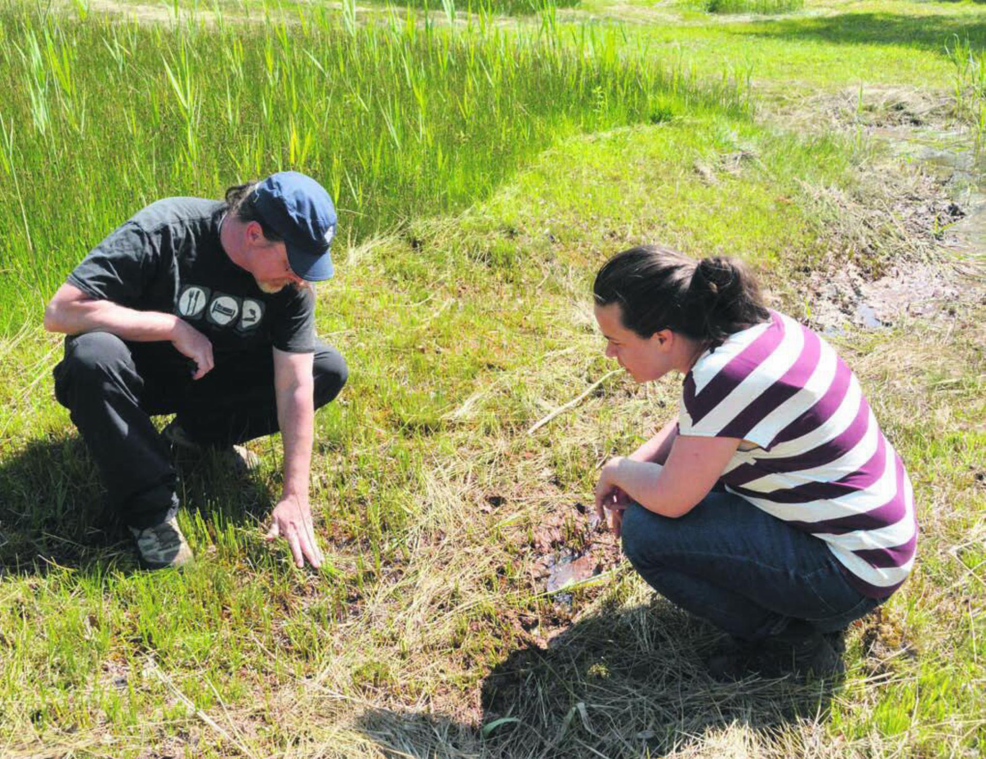 Wer genau hinschaut, findet die natürlichen Quellen – Niklaus Peyer (links) von der Stiftung Reusstal und Marianne Ruthishauser von Pro Natura Aargau. Bild: Annemarie Keusch