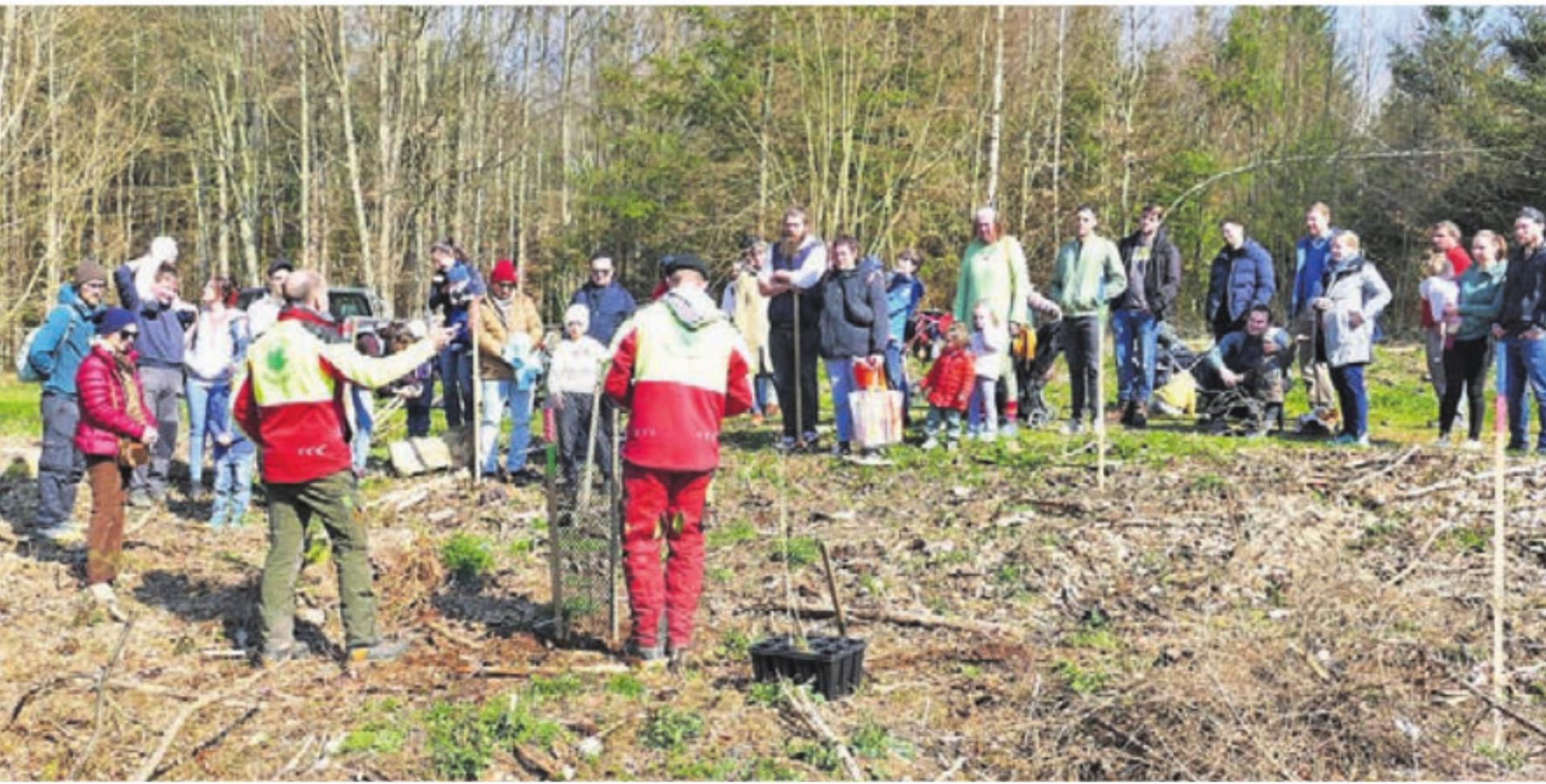 Reges Treiben im Wald – die Eltern pflanzen für ihre Kinder einen Lebensbaum. Bild: zg - Das Bild wird blockiert. – Möglicherweise durch einen aktiven Adblocker.