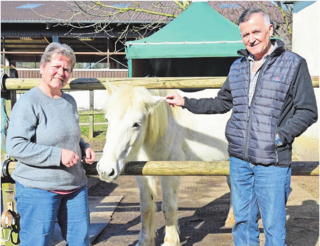 Zum Schutz der Tiere wollen Sonja Furrer und Donat Etterli erreichen, dass in Besenbüren künftig das Abfeuern von lauten Feuerwerkskörpern verboten ist. Bild: Annemarie Keusch Zum Schutz der Tiere wollen Sonja Furrer und Donat Etterli erreichen, dass in Besenbüren künftig das Abfeuern von lauten Feuerwerkskörpern verboten ist. Bild: Annemarie Keusch