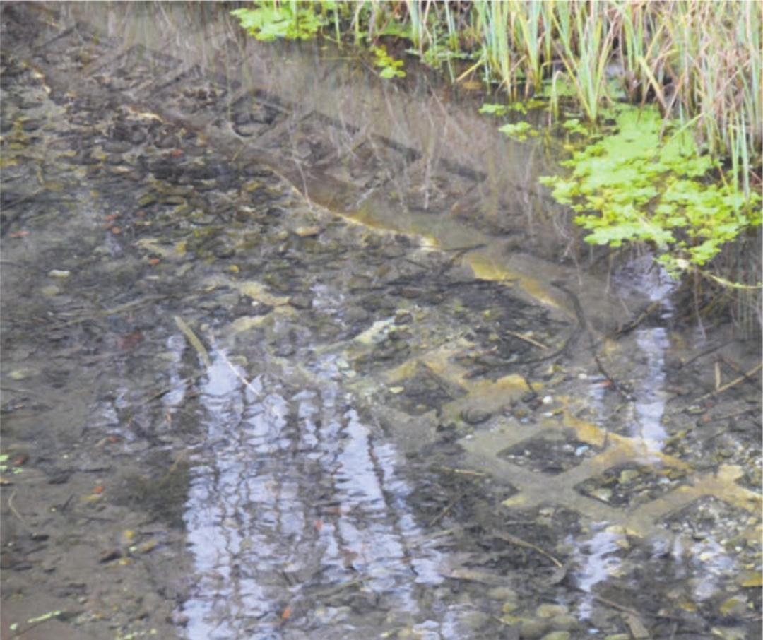 In der Bachsohle sind Beton-Gittersteine verlegt. In der Bachsohle sind Beton-Gittersteine verlegt.
