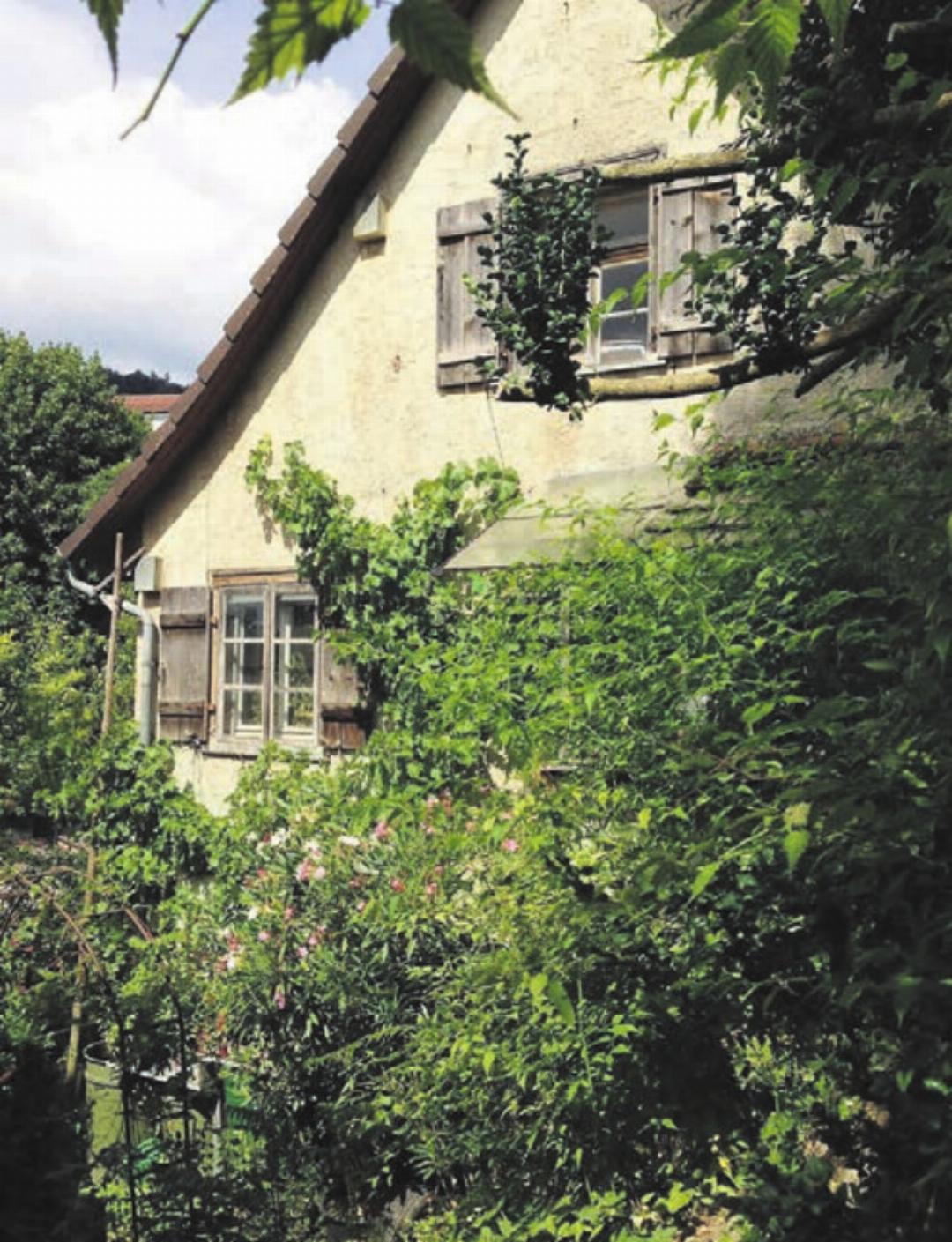 Begrünte Fassaden – die Idee ist nicht neu. Begrünte Fassaden – die Idee ist nicht neu.