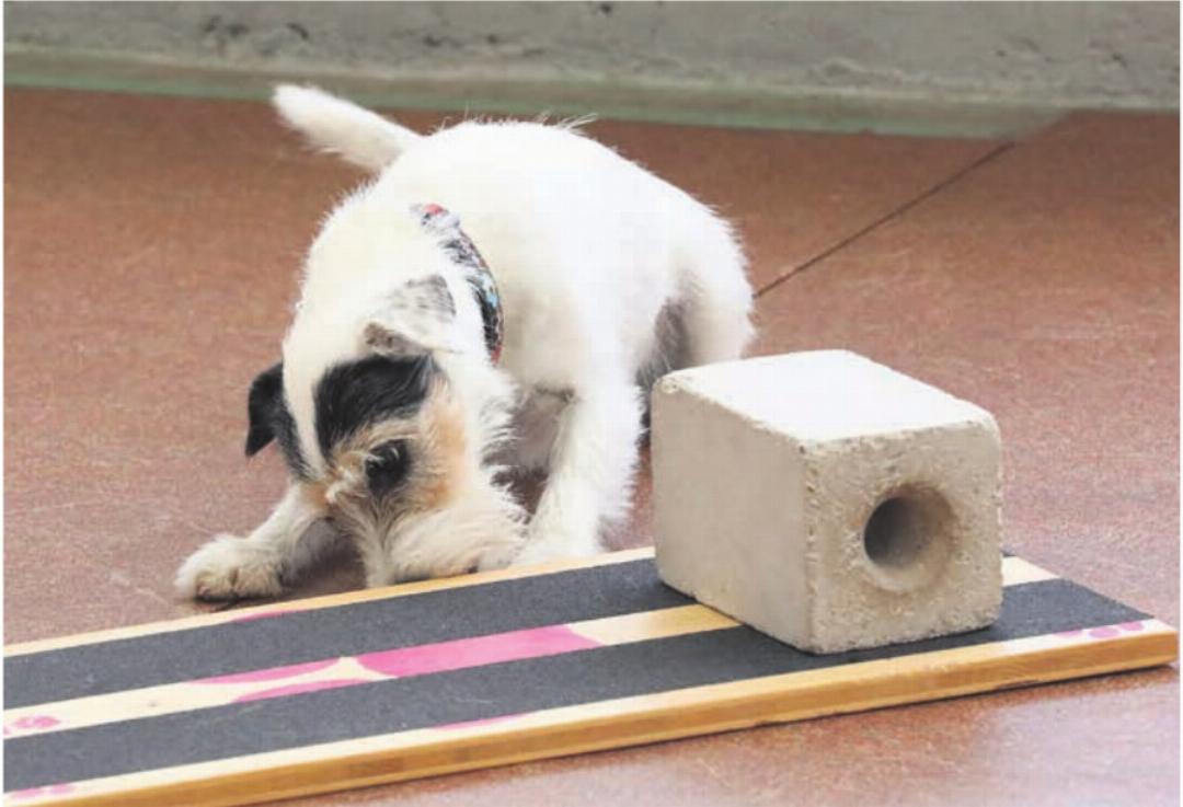 Hier muss doch etwas versteckt sein. Ich bin ganz sicher. Hier muss doch etwas versteckt sein. Ich bin ganz sicher.