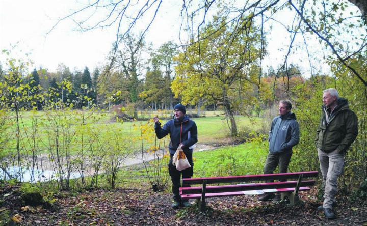 Flachmoor von nationaler Bedeutung: Christian Müller, Urs Huber und Fredi Hintermann (von links) vor der Fronwaldwiese.