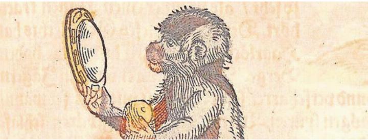 Im Medizinhistorischen Museum gibt es allerlei Spannendes zu entdecken. Bild: zg