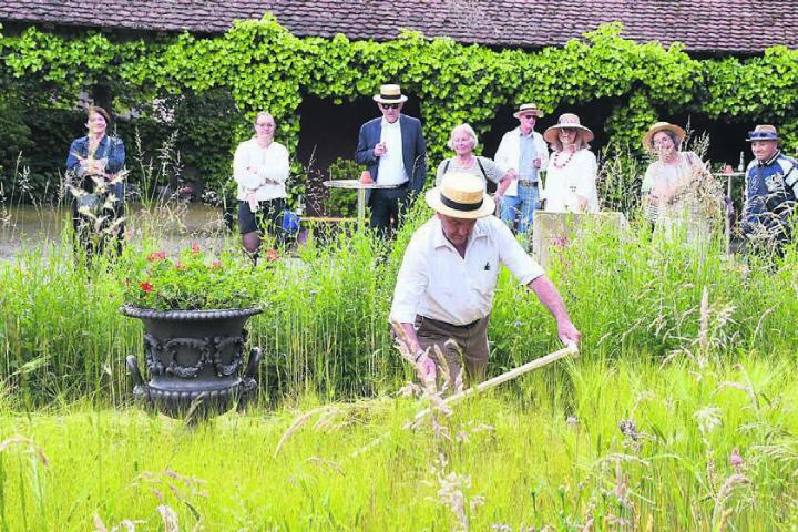 Voller Einsatz rund ums Schweizer Strohmuseum: Ruedi Donat schnitt das Getreide gekonnt. Bilder: dm