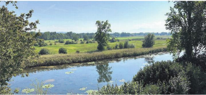 Ökologisch wertvolle Altwasser-Landschaft. Bild: zg