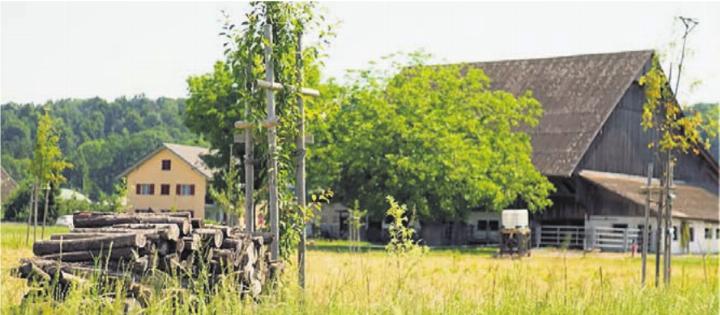 Preisgekrönter Landwirtschaftsbetrieb: Beim Hof Adlerzart dreht sich alles um Kreisläufe und Formen von Agroforst. Bild: zg
