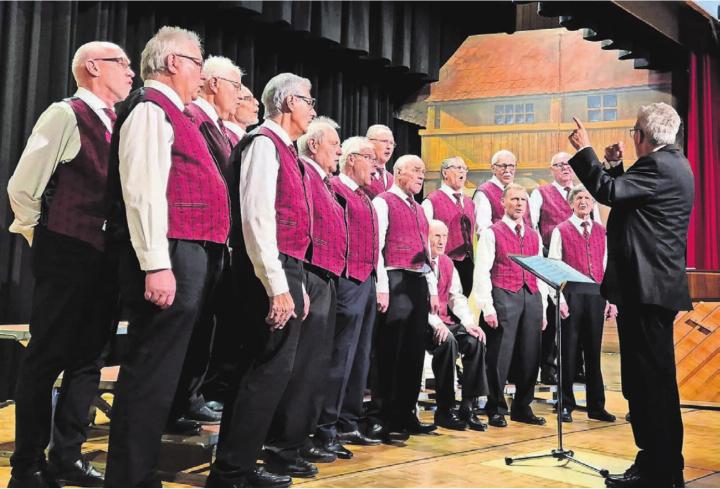 Der Männerchor Benzenschwil in Aktion. Bilder: sca