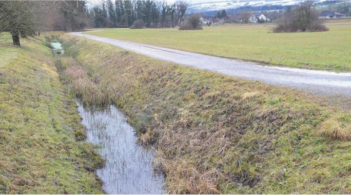 Heute verläuft der Girizkanal weitgehend schnurgerade, parallel dazu der Flurweg, der weichen soll. Bilder: Thomas Stöckli / zg Heute verläuft der Girizkanal weitgehend schnurgerade, parallel dazu der Flurweg, der weichen soll. Bilder: Thomas Stöckli / zg