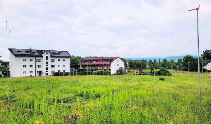 Auf dieser Wiese mitten im Dorf sollen 25 neue Wohneinheiten entstehen. Bilder: Chregi Hansen / zg