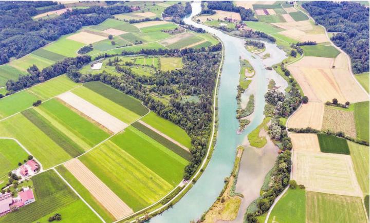 Der Flachsee entstand mit dem Aufstau der Reuss im Jahr 1975, er ist eine raffinierte Kombination von künstlich angelegtem Gewässer und neuem natürlichem Lebensraum für Wasservögel und selten gewordenen Pflanzen. Bilder: Oekovision GmbH, Widen / Erich Kessler, Stiftungsrat, Stiftung Reusstal