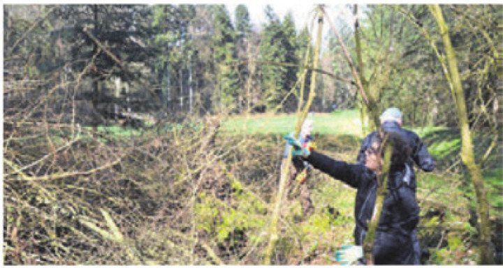 Arbeitstag im Wald. Bild: Archiv