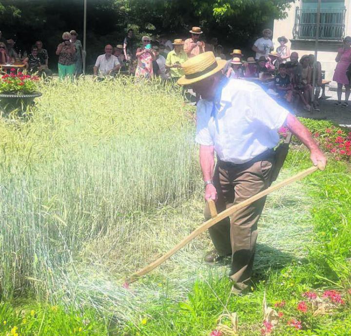 Einer der Höhepunkte der Sichlete: Ruedi Donat wird am Stroherntefest das Getreide fachmännisch schneiden. Bild: pd
