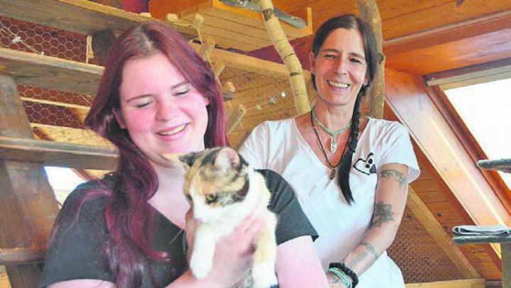 Ronja Frauenfelder (links) und Sandra Fritschi kümmern sich liebevoll um die Katzen in der Pension. Bild: ake