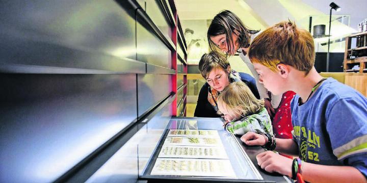 Besonders empfehlenswert und viel besucht ist 
das Schweizer Strohmuseum, das auf anschauliche Weise die Geschichte der Strohindustrie vermittelt, die Wohlen einst international bekannt machte.
Bild: Felix Wey