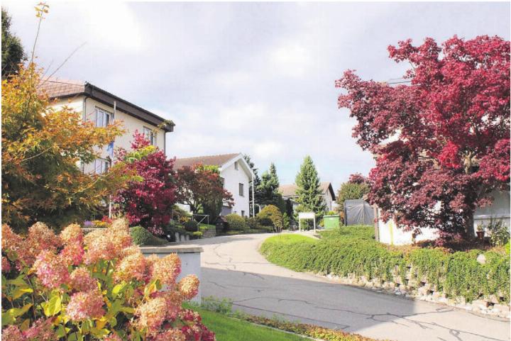 Im Quartier Schönfeld sind Wasserleitungsarbeiten geplant. Bild: gk
