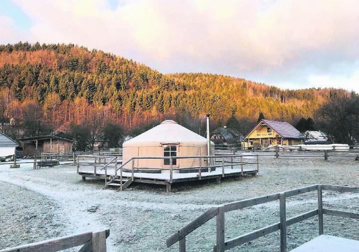 In eine solche, ganz einfach eingerichtete Jurte auf einem Pferdehof in Österreich zog sich die Lehrerin nach ihrem Burnout zurück. Was für wenige Tage geplant war, wurde zu einem mehrmonatigen Aufenthalt. Bild: zg