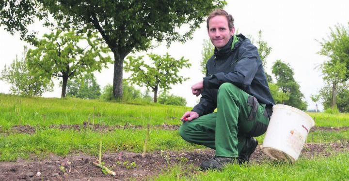 Täglich bei Sonnenaufgang geht es los. Lukas Bächler hat den «Spargelhof» mit dem Jahreswechsel von seinen Eltern übernommen. Bild: Annemarie Keusch