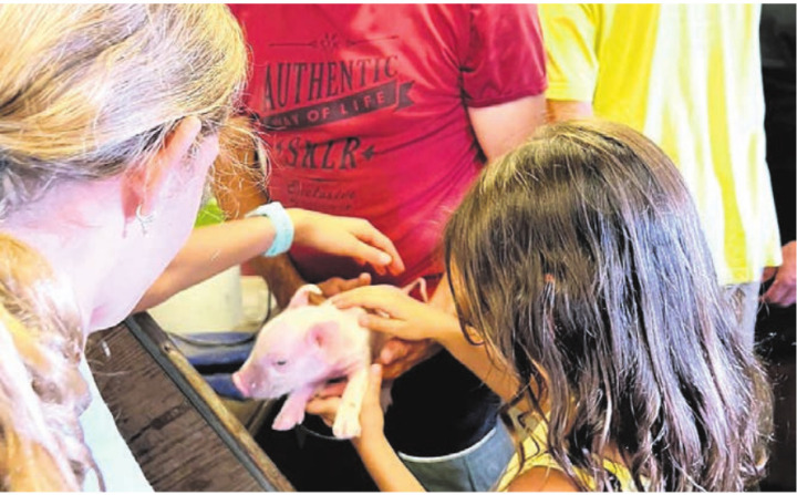 Bei den Kindern beliebt: Kontakt zu den Tieren. Bild: zg