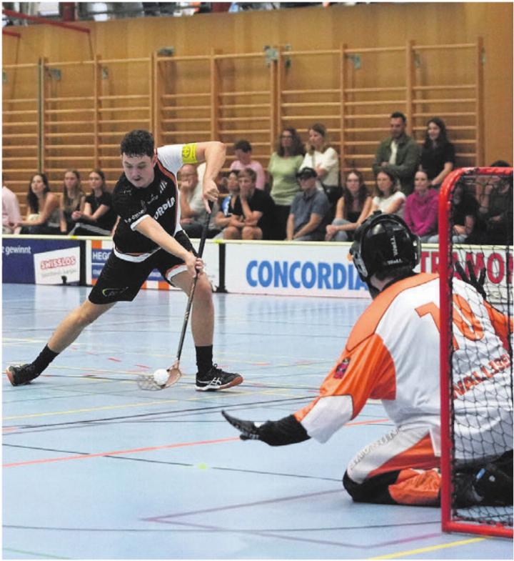 Einer der wenigen Freiämter Höhepunkte: Roman Hajagos trifft zum 2:13.